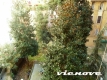 3.1.2 vienove appartamento san giovanni villa fiorelli
