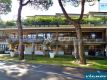 5.5-Milano-Marittima-Locale-Vienove