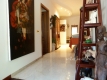 aventino-vienove-2-8